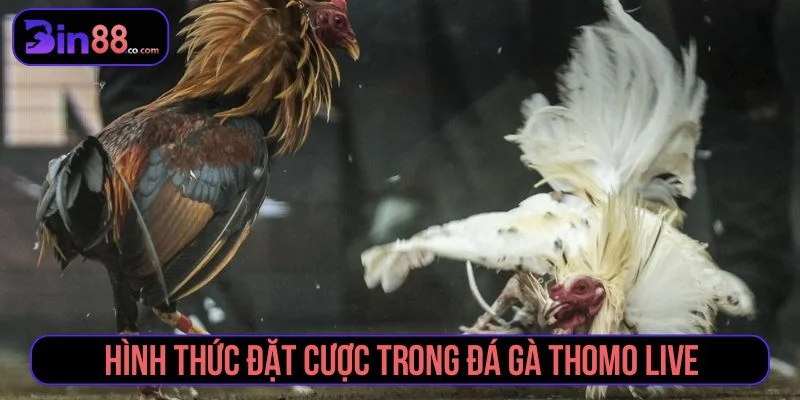 Game có nhiều cửa cược đa dạng