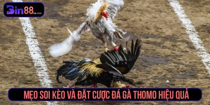 Tham khảo các mẹo soi kèo hiệu quả