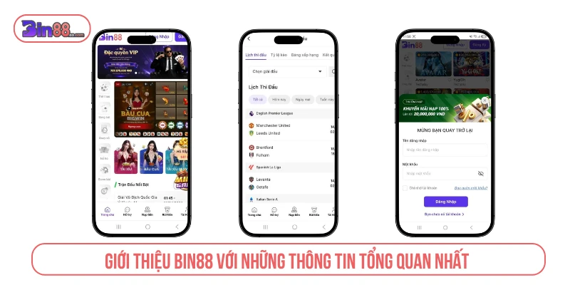 Giới thiệu BIN88 với những thông tin tổng quan nhất