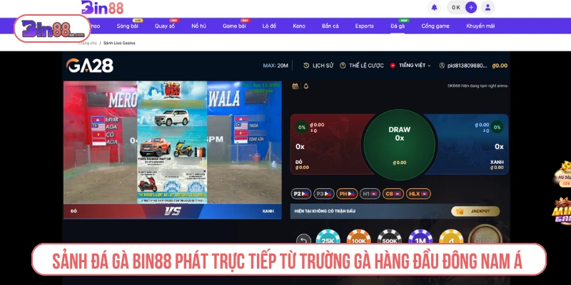 Sảnh đá gà BIN88 phát trực tiếp từ các trường gà hàng đầu Đông Nam Á
